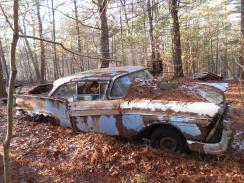 January 8, 2012 and on! Woods, Field and Barn Relics left for dead. Ongoing album latest pictures are last.